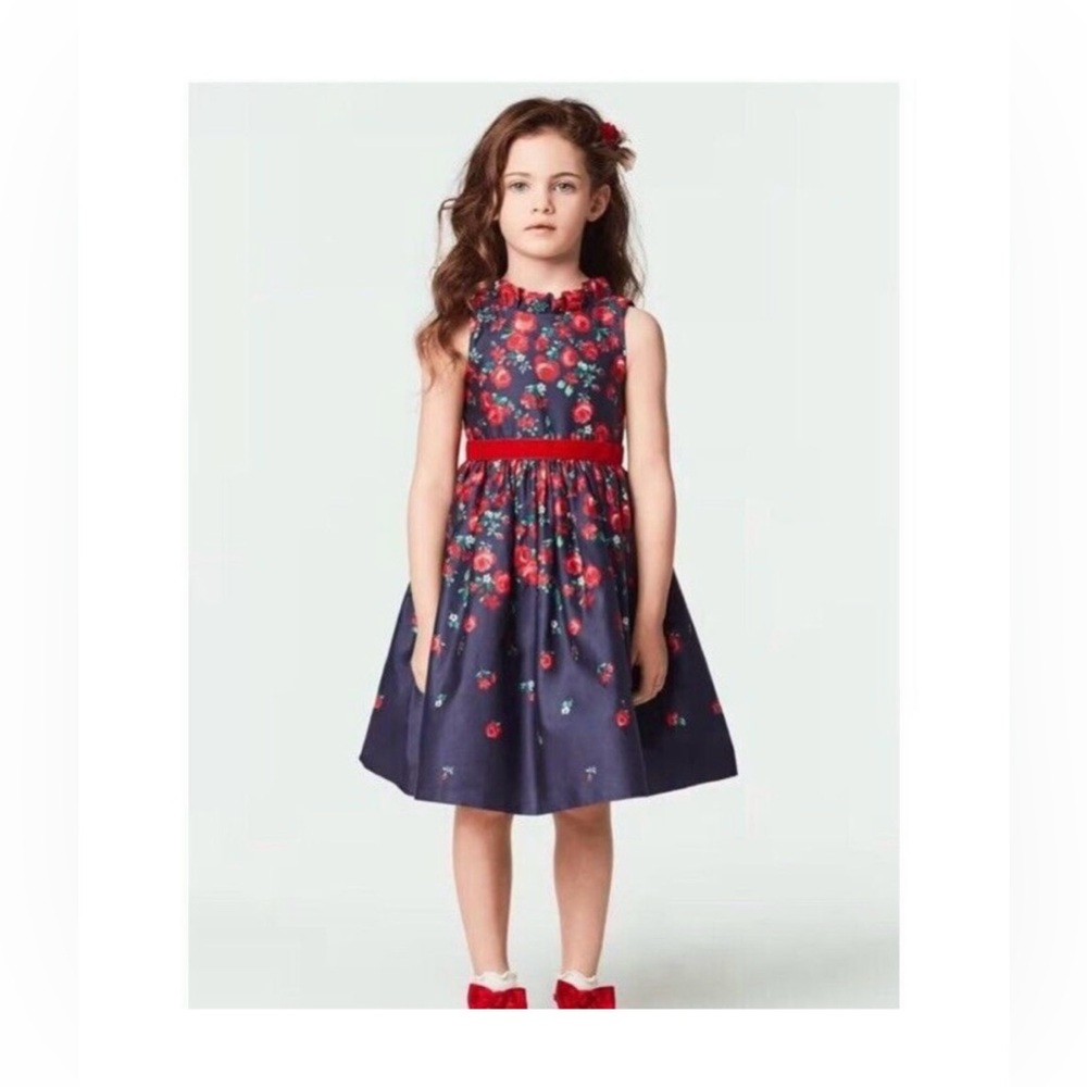 AMERICAN GIRL X JANIE AND JACK WRAPPED IN ROSES PARTY DRESS Size 5 Girls